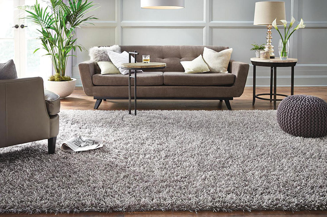 carpet, rug and sofa